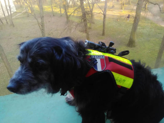 🔦La lampe Fenix TK16 V2.0 opérationnelle ! - Revendeur Officiel Lampes FENIX depuis 2008 | Votre Boutique en ligne FENIX®